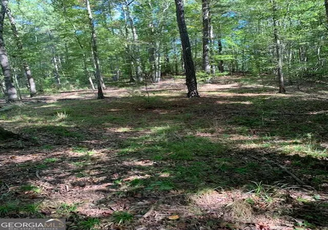 Photo 3 of Land for sale at 4000 Landham/campbellton Rd, Fairburn, GA 30213 | MLS# 10828807 | Listing updated on 2026-10-08