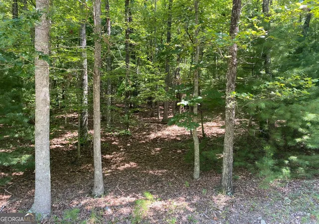 Photo 1 of Land for sale at 693 Ac Timber Ridge Rd, Blairsville, GA 30512 | MLS# 10837014 | Listing updated on 2026-09-15