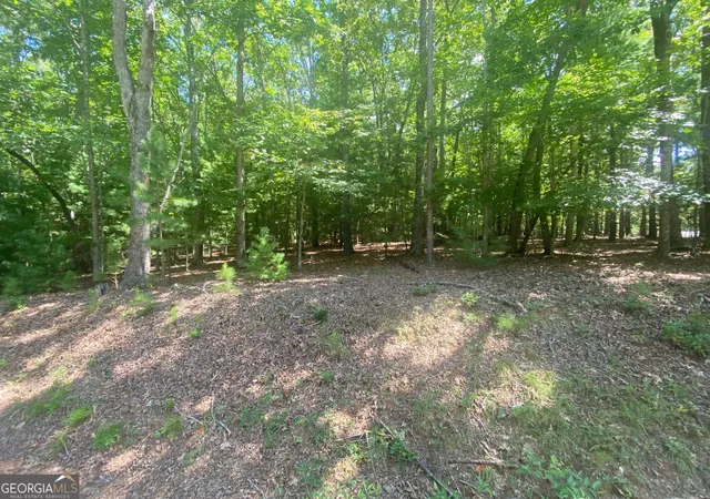 Photo 2 of Land for sale at 693 Ac Timber Ridge Rd, Blairsville, GA 30512 | MLS# 10837014 | Listing updated on 2026-09-15