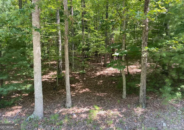 Photo 3 of Land for sale at 693 Ac Timber Ridge Rd, Blairsville, GA 30512 | MLS# 10837014 | Listing updated on 2026-09-15
