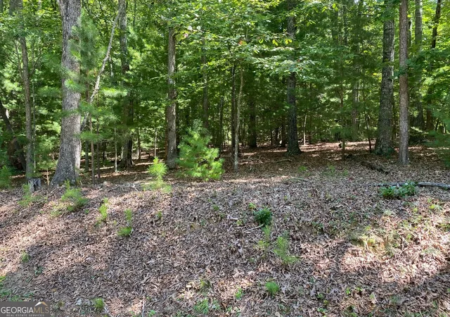 Photo 3 of Land for sale at 693 Ac Timber Ridge Rd, Blairsville, GA 30512 | MLS# 10837014 | Listing updated on 2026-09-15