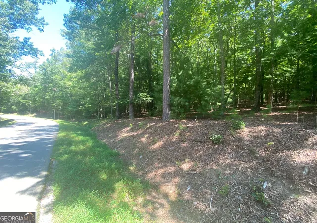 Photo 4 of Land for sale at 693 Ac Timber Ridge Rd, Blairsville, GA 30512 | MLS# 10837014 | Listing updated on 2026-09-15