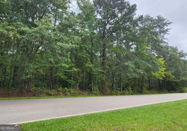 Land for sale at 2090 Linton Rd, Sparta, GA 31087 | MLS# 10851396