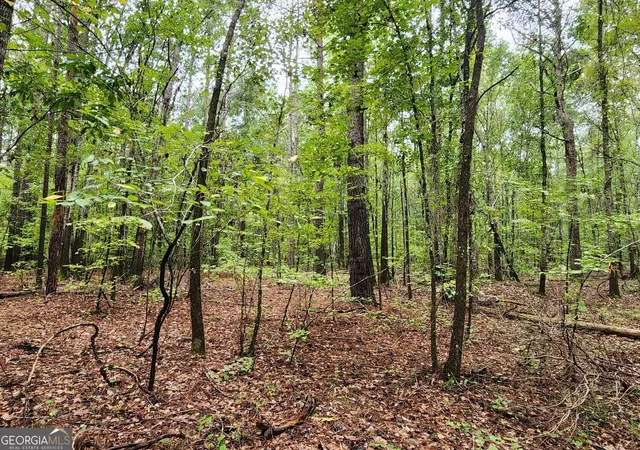 Photo 1 of Land for sale at 2090 Linton Rd, Sparta, GA 31087 | MLS# 10851396 | Listing updated on 2026-10-07