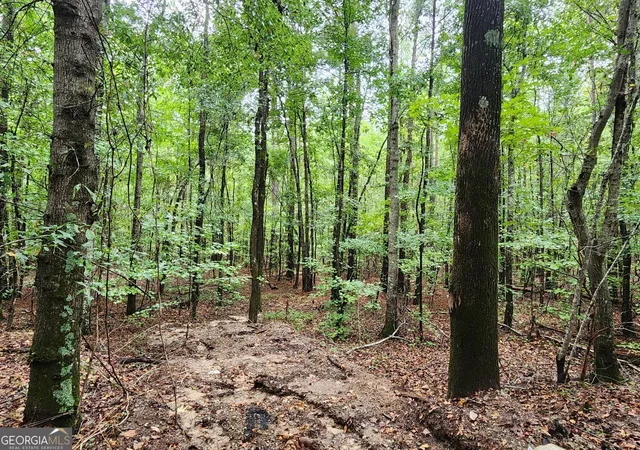 Photo 2 of Land for sale at 2090 Linton Rd, Sparta, GA 31087 | MLS# 10851396 | Listing updated on 2026-10-07