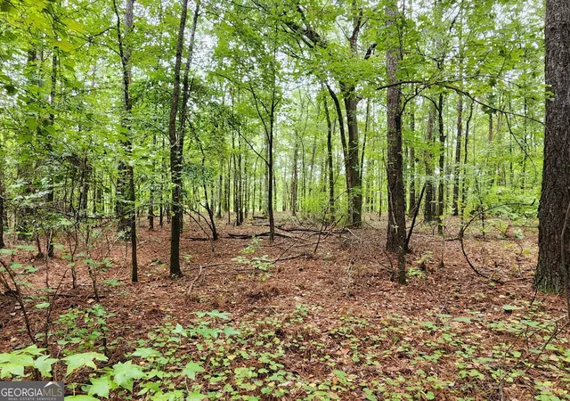 Photo 4 of Land for sale at 2090 Linton Rd, Sparta, GA 31087 | MLS# 10851396 | Listing updated on 2026-10-07