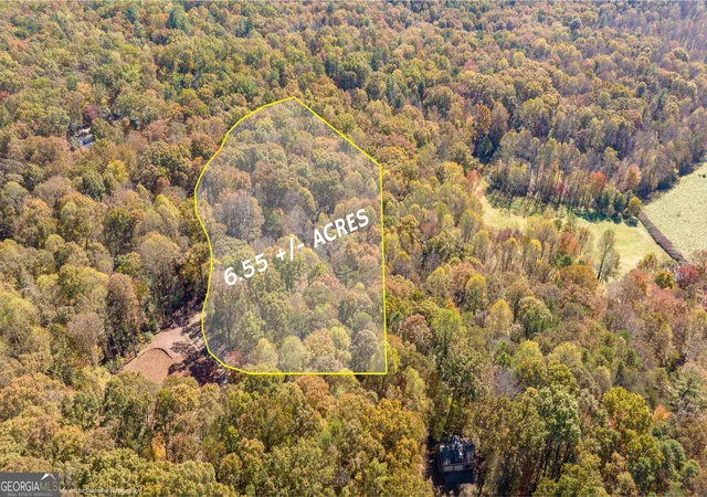 Photo 3 of Single family home for sale at 1010 Meadowview Ridge, Clarkesville, GA 30523 | MLS# 10846849 | Listing updated on 2026-10-07