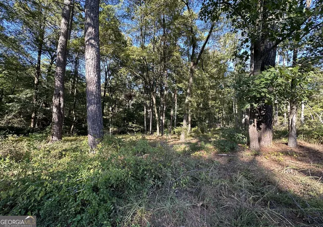 Photo 2 of Land for sale at 5353 Cascade Rd SW #1A, Atlanta, GA 30331 | MLS# 10880128 | Listing updated on 2026-10-28