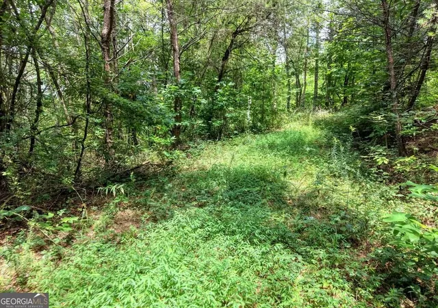 Photo 3 of Land for sale at Lots 1 8 Teaks Dr, Hayesville, NC 28904 | MLS# 10845484 | Listing updated on 2026-09-28