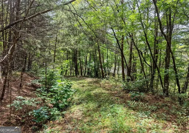 Photo 3 of Land for sale at Lots 1-8 Teaks Dr, Hayesville, NC 28904 | MLS# 10845484 | Listing updated on 2026-09-28
