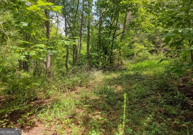Photo 4 of Land for sale at Lots 1-8 Teaks Dr, Hayesville, NC 28904 | MLS# 10845484 | Listing updated on 2026-09-28