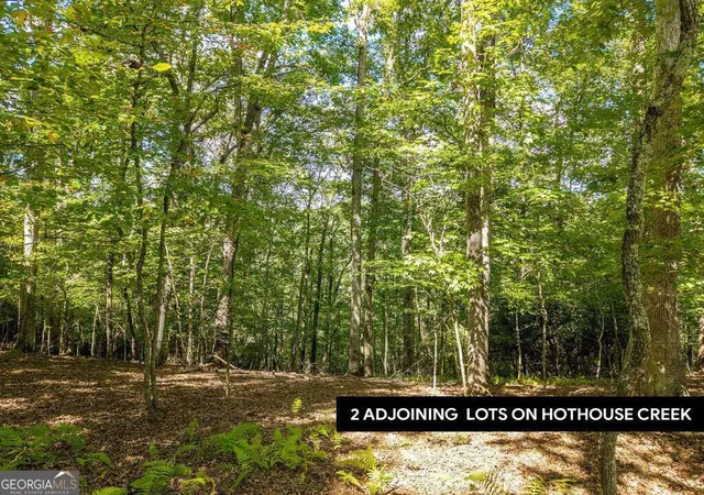 Photo 1 of Land for sale at Lt 27/28 Donna Lee Ln #27/28, Mineral Bluff, GA 30559 | MLS# 10847100 | Listing updated on 2026-09-30