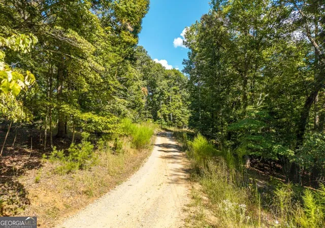 Photo 3 of Land for sale at Lt 27/28 Donna Lee Ln #27/28, Mineral Bluff, GA 30559 | MLS# 10847100 | Listing updated on 2026-09-30