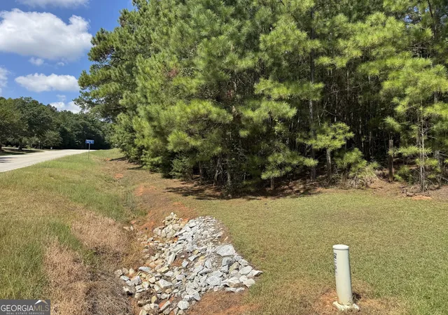 Photo 3 of Land for sale at 0 Millstone Crk Rd, Elberton, GA 30635 | MLS# 10839113 | Listing updated on 2026-09-03