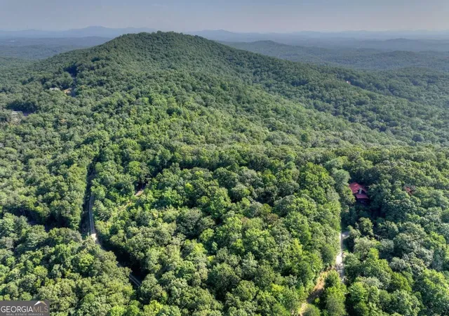 Photo 1 of Land for sale at 36 Ac Prince Mountain Rd, Cherry Log, GA 30522 | MLS# 10842551 | Listing updated on 2026-10-04