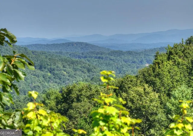 Photo 3 of Land for sale at 36 Ac Prince Mountain Rd, Cherry Log, GA 30522 | MLS# 10842551 | Listing updated on 2026-10-04