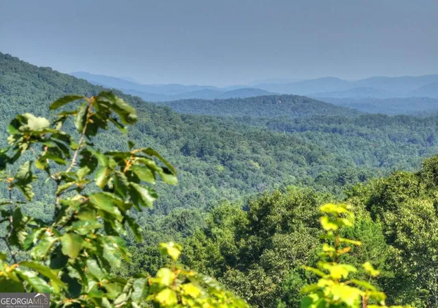 Photo 3 of Land for sale at 36 Ac Prince Mountain Rd, Cherry Log, GA 30522 | MLS# 10842551 | Listing updated on 2026-10-04