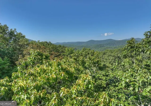 Photo 4 of Land for sale at 36 Ac Prince Mountain Rd, Cherry Log, GA 30522 | MLS# 10842551 | Listing updated on 2026-10-04