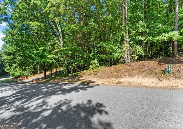 Photo 3 of Land for sale at 786 Cherry Ct #718, Clarkesville, GA 30523 | MLS# 10838113 | Listing updated on 2026-09-16