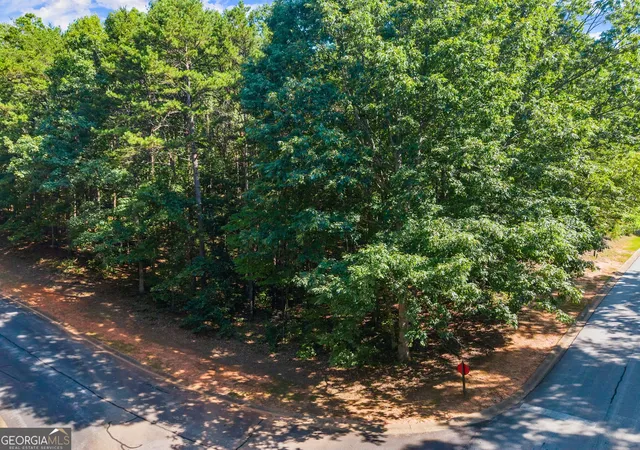 Photo 4 of Land for sale at 786 Cherry Ct #718, Clarkesville, GA 30523 | MLS# 10838113 | Listing updated on 2026-09-16