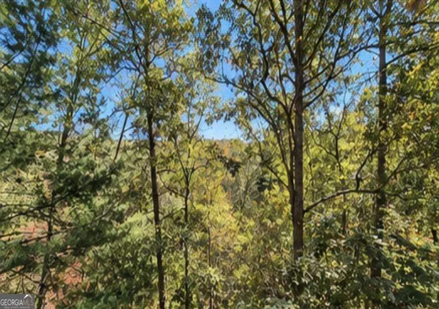 Photo 2 of Single family home for sale at 1575 Riverview Dr, Ellijay, GA 30540 | MLS# 10878775 | Listing updated on 2026-10-24