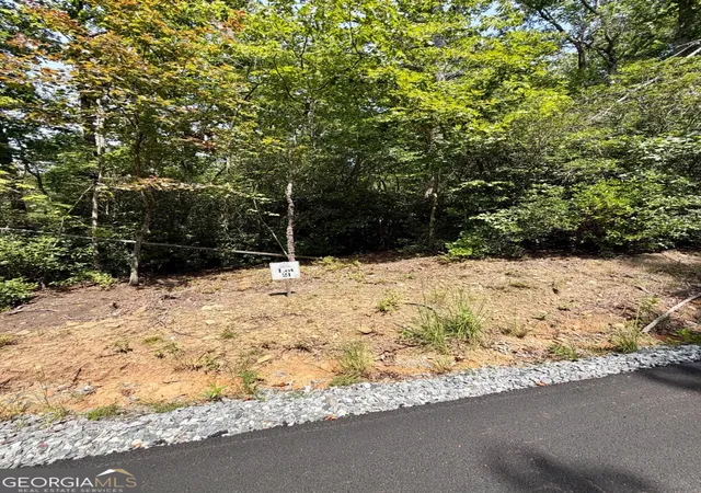 Photo 3 of Land for sale at Lot 21 Turquoise Ridge, Blue Ridge, GA 30513 | MLS# 10848514 | Listing updated on 2026-09-18