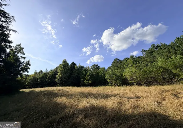 Land for sale at 3 Cunningham Rd, Greensboro, GA 30642 | MLS# 10842585