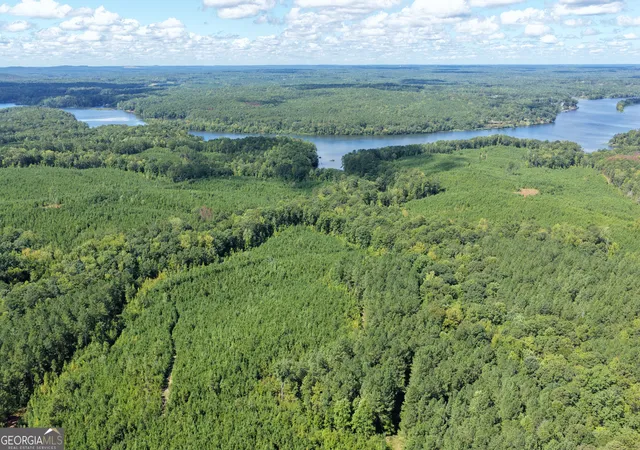 Photo 2 of Land for sale at 21144 Ac Quail Holw Dr, Hamilton, GA 31811 | MLS# 10846065 | Listing updated on 2026-09-29