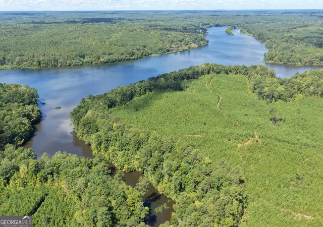 Photo 3 of Land for sale at 21144 Ac Quail Holw Dr, Hamilton, GA 31811 | MLS# 10846065 | Listing updated on 2026-09-29