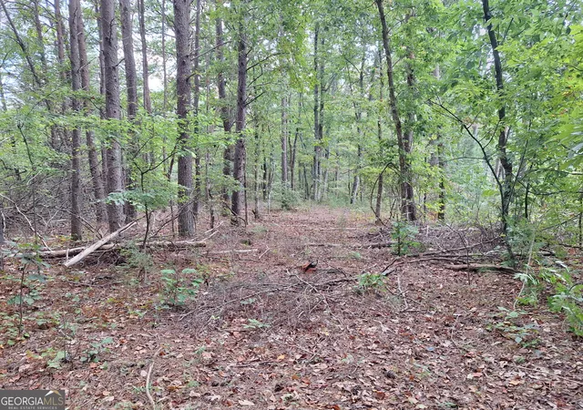 Land for sale at 0 Highland Tree Ct, Ranger, GA 30734 | MLS# 10827855