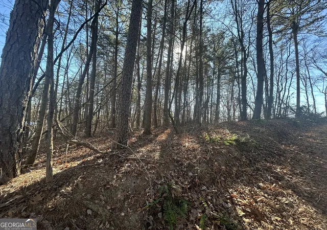 Photo 3 of Land for sale at 0 Highland Tree Ct, Ranger, GA 30734 | MLS# 10827855 | Listing updated on 2026-09-09