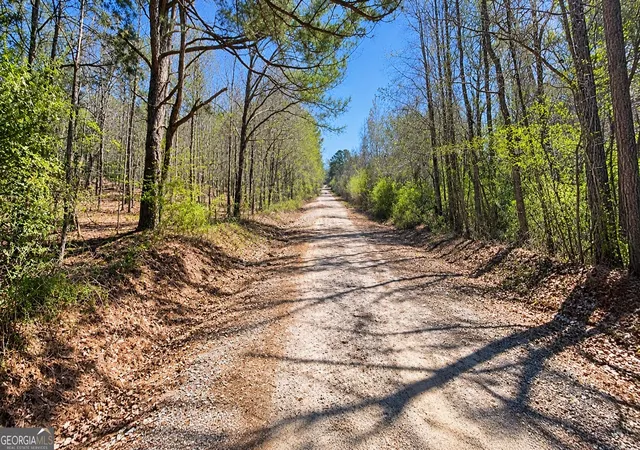 Photo 2 of Sale Pending at 0 Tiggs Rd, Greenville, GA 30222 | MLS# 10852460 | Listing updated on 2026-09-27