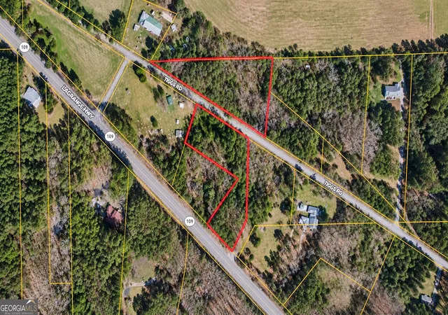 Photo 3 of Sale Pending at 0 Tiggs Rd, Greenville, GA 30222 | MLS# 10852460 | Listing updated on 2026-09-27