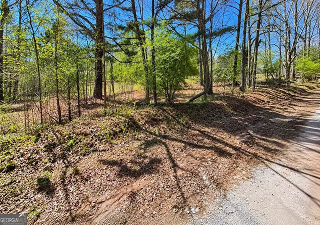Photo 4 of Sale Pending at 0 Tiggs Rd, Greenville, GA 30222 | MLS# 10852460 | Listing updated on 2026-09-27