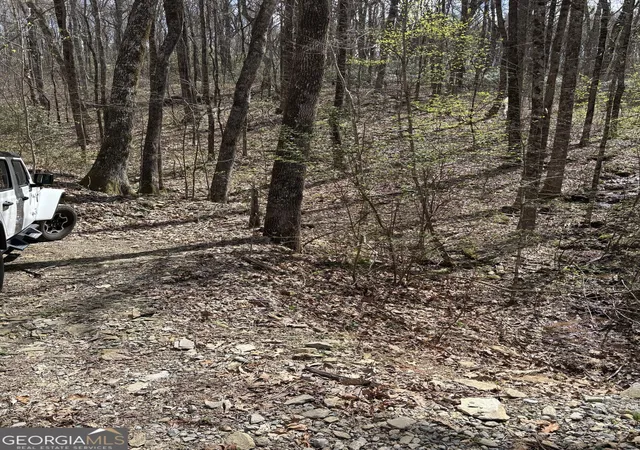 Photo 15 of Land for sale at 0 Laurel Branch, Dawsonville, GA 30534 | MLS# 10838246 | Listing updated on 2026-09-03