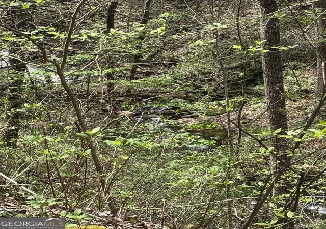 Photo 1 of Land for sale at 0 Laurel Branch, Dawsonville, GA 30534 | MLS# 10838246 | Listing updated on 2026-09-03