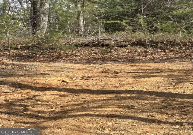 Photo 4 of Land for sale at 0 Laurel Branch, Dawsonville, GA 30534 | MLS# 10838246 | Listing updated on 2026-09-03