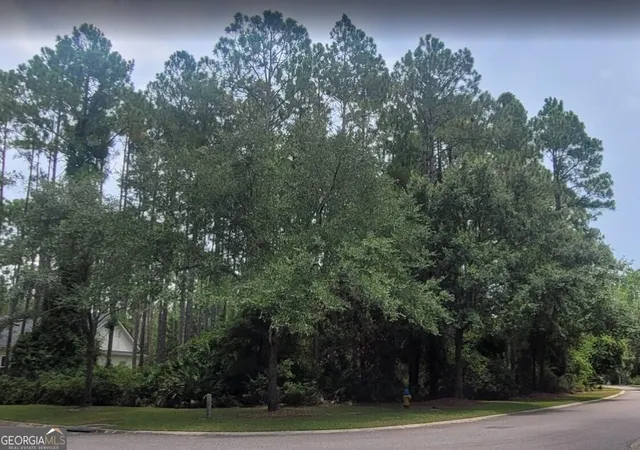 Photo 4 of Land for sale at 100 Amberjack Loop, Saint Marys, GA 31558 | MLS# 10848817 | Listing updated on 2026-10-02