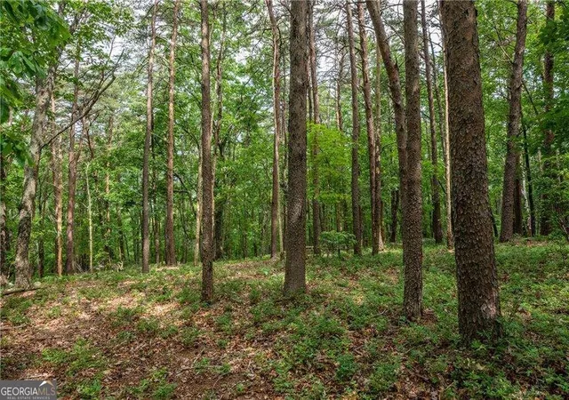 Photo 1 of Land for sale at 206r Mystic Trl Ln, Jasper, GA 30143 | MLS# 10841166 | Listing updated on 2026-09-20