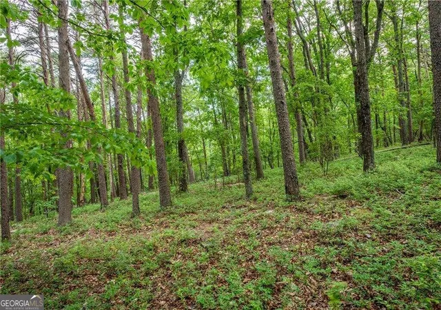 Photo 2 of Land for sale at 206r Mystic Trl Ln, Jasper, GA 30143 | MLS# 10841166 | Listing updated on 2026-09-20