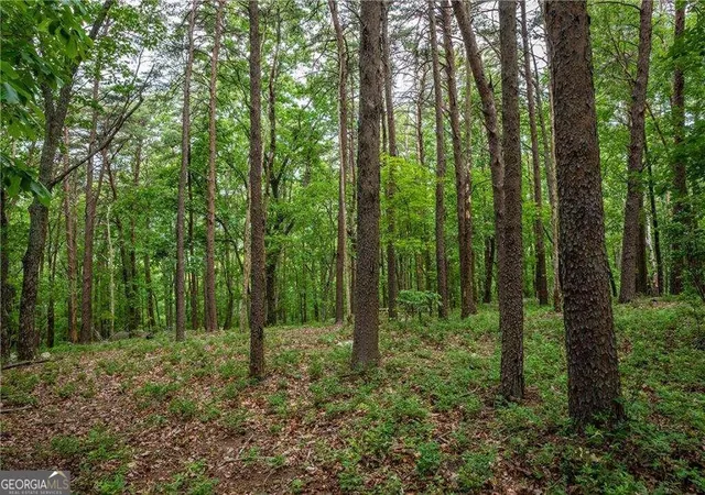 Photo 3 of Land for sale at 206r Mystic Trl Ln, Jasper, GA 30143 | MLS# 10841166 | Listing updated on 2026-09-20