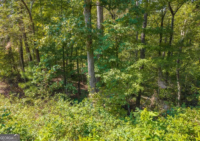 Photo 2 of Land for sale at Lot 31 Freestone St, Talking Rock, GA 30175 | MLS# 10852289 | Listing updated on 2026-10-08