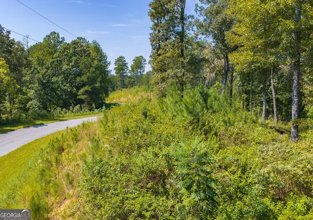 Photo 3 of Land for sale at Lot 31 Freestone St, Talking Rock, GA 30175 | MLS# 10852289 | Listing updated on 2026-10-08