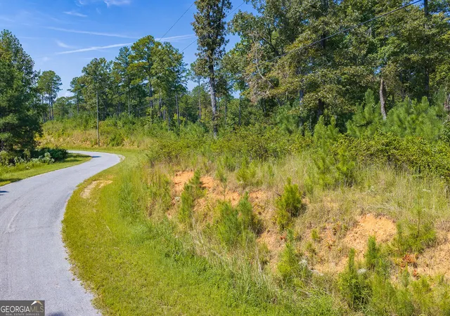 Photo 4 of Land for sale at Lot 31 Freestone St, Talking Rock, GA 30175 | MLS# 10852289 | Listing updated on 2026-10-08