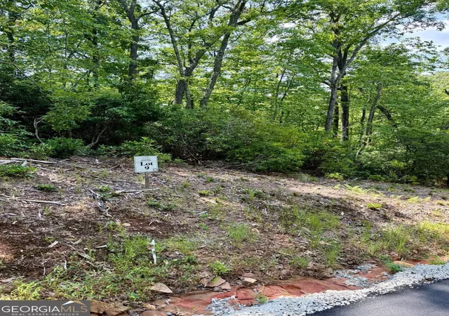 Photo 2 of Land for sale at Lot 9 Sapphire Ridge, Blue Ridge, GA 30513 | MLS# 10848364 | Listing updated on 2026-09-18