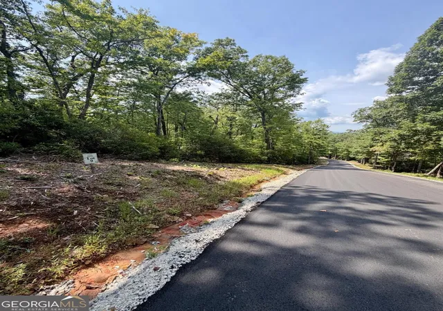 Photo 3 of Land for sale at Lot 9 Sapphire Ridge, Blue Ridge, GA 30513 | MLS# 10848364 | Listing updated on 2026-09-18