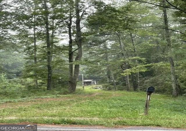 Photo 1 of Sale Pending at 0 Young, Franklin, GA 30217 | MLS# 10841128 | Listing updated on 2026-09-10