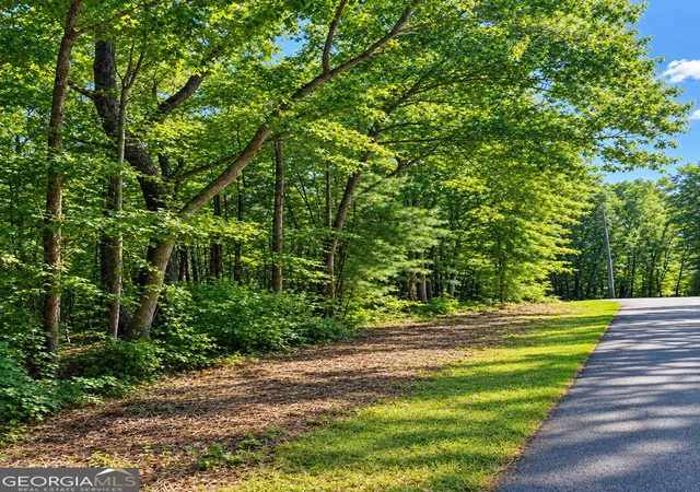 Photo 2 of Land for sale at Lot 24 Oak Ct, Toccoa, GA 30577 | MLS# 10845868 | Listing updated on 2026-09-28