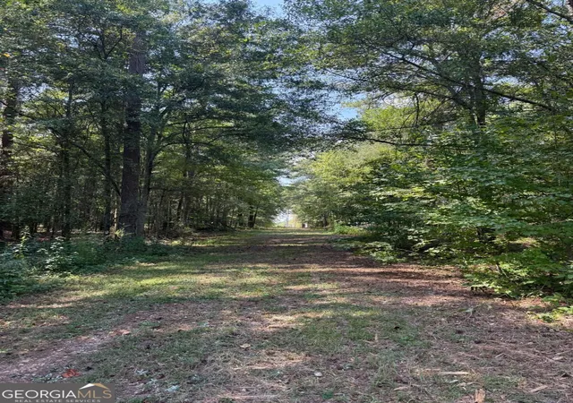 Photo 3 of Land for sale at 00 Monroe Hwy, Bethlehem, GA 30620 | MLS# 10842679 | Listing updated on 2026-09-14