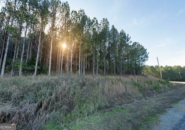 Photo 2 of Land for sale at 0 Sipsey Overlook Rd #LOT 130, Double Springs, AL 35553 | MLS# 10848271 | Listing updated on 2026-09-23